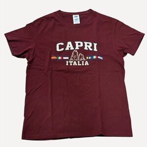 Men’s Maroon Cotton T-Shirt
